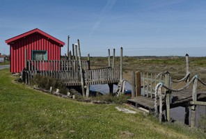 H3 - Ginette_DSC0602.jpg