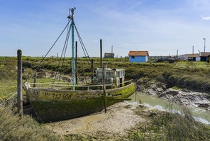 H5 - Joëlle_DSC0655.jpg