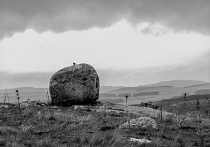 DSC_4071 copie 5.jpg