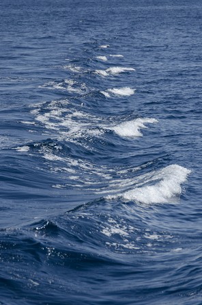 12-Iles de Lérins.jpg