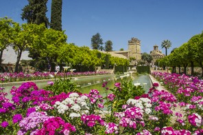25-Cordou Alcazar.jpg