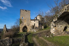 _DSC2265 copie site.jpg