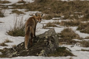 1ère Isabelle Chayriguès copie.jpg