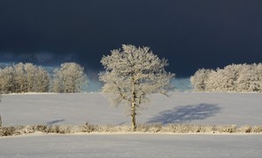 3ème Danièle Dhugues copie.jpg
