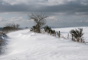 1ère André Méravilles (1) copie.jpg