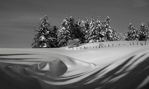 3ème Brigitte Rêve copie.jpg