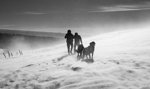 5ème André Méravilles (2) copie.jpg