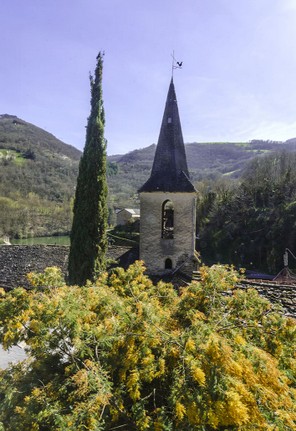 5-Lincou Clocher et mimosa.jpg