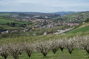 01Colette Andre (2).jpg