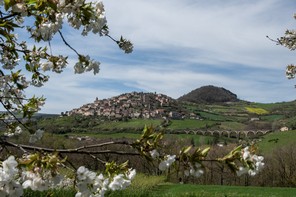 01Colette Andre (3).jpg