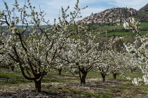 01Colette Andre (4).jpg