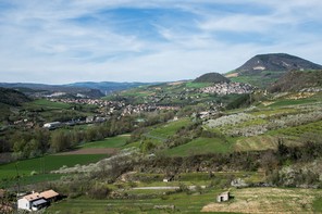 Colette Andre (1).jpg