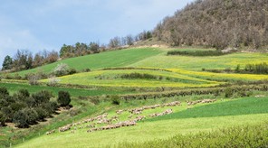 Colette Andre (3).jpg