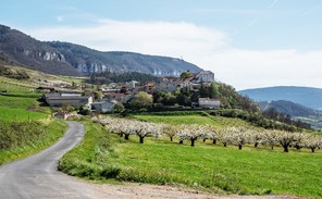 Colette Andre (4).jpg