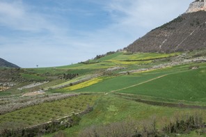 Colette Andre (7).jpg