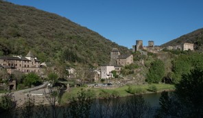 3Colette andre (4).jpg