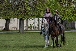 1colette Andre (6).jpg