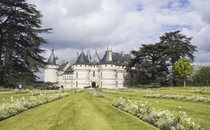 3 colette alboyyy.jpg