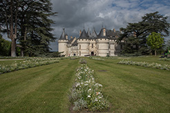 3colette Andre (17).jpg