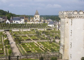 3colette alb (1).jpg