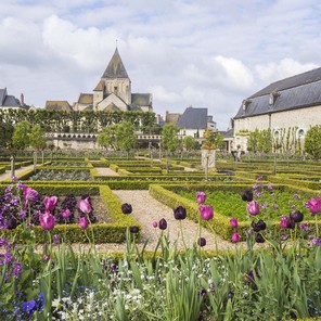 3colette alb (2).jpg