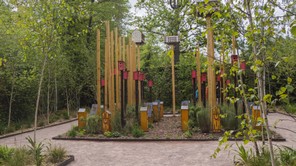 3colette alb (3).jpg