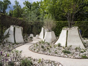 3colette alb (4).jpg