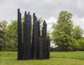 3colette alb (6).jpg