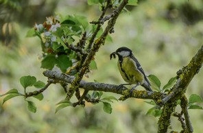 1ère Danièle Dhugues print copie.jpg