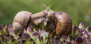 2ème Isabelle Chayriguès print copie.jpg