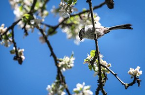 4ème Gérard Fournier print copie.jpg