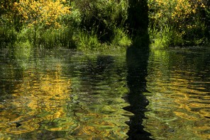 5ème Christine Vignol print copie 2.jpg