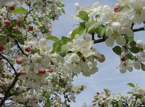 1ère Jean-Pierre Chatton copie.jpg