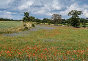 2ème André Méravilles-print copie.jpg