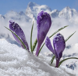 4ème ex aequo André Méravilles print copie.jpg