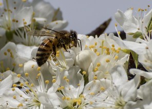 4ème ex aequo Jean-Marie Bousquet prin copie.jpg