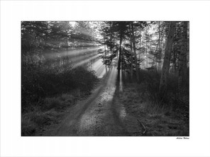 Alibert Hélène (1).jpg