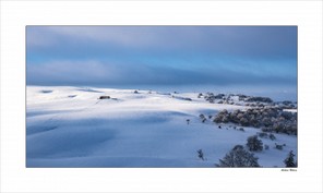 Alibert Hélène (2).jpg