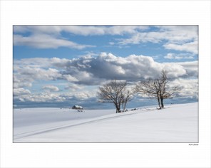 André Colette (1).jpg