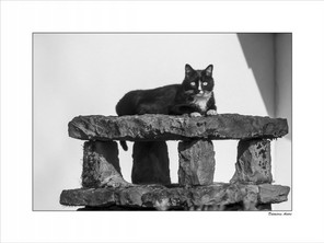 André Dalmières (1).jpg