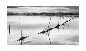 Bouloc Roger (1).jpg