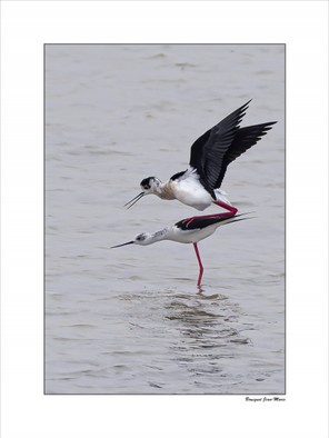 Bousquet jean-Marie (1).jpg