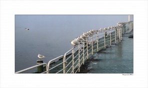 Bousquet jean-Marie (2).jpg