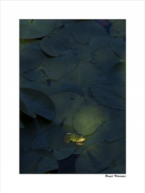 Brugié Véronique (1).jpg