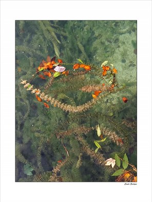 Caule Evelyne (1).jpg