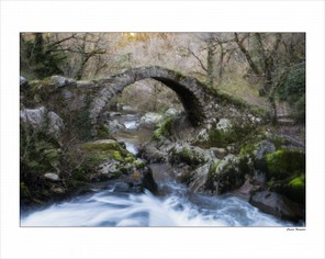 Causse Françoise (2).jpg