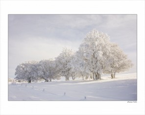 Chayriguèes Isabelle (2).jpg