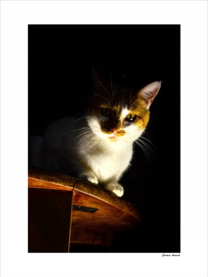 Crémers Annick (1).jpg