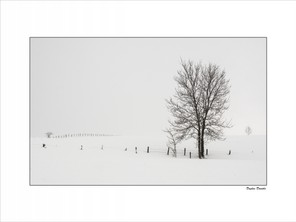 Dhugues Danièle (2).jpg