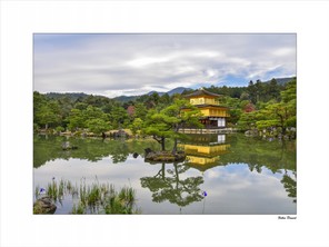 Fabre Daniel (1).jpg